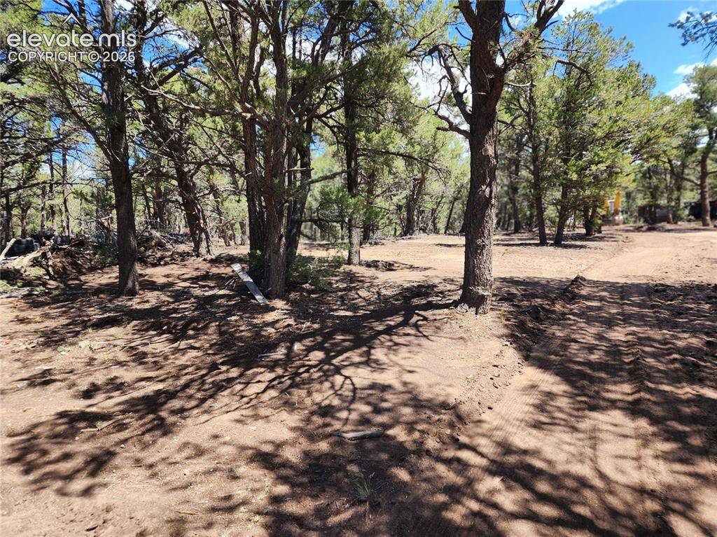 000 8TH TRL, Cotopaxi, CO 81223