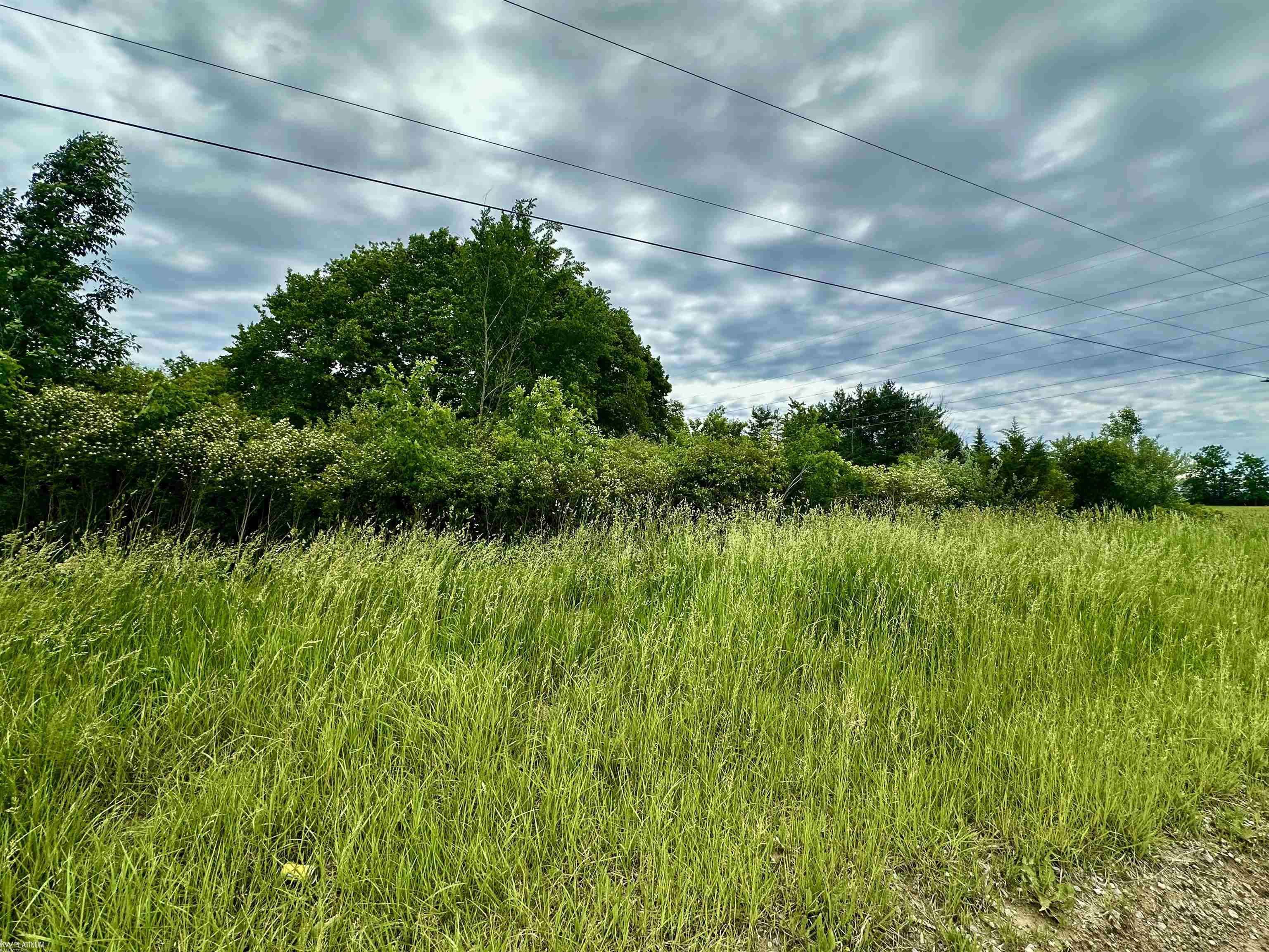 VL BRAIDWOOD PARCEL 5 RD, Riley Twp, MI 48041