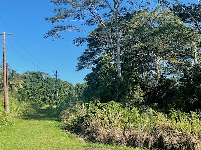Kurtistown, HI 96760