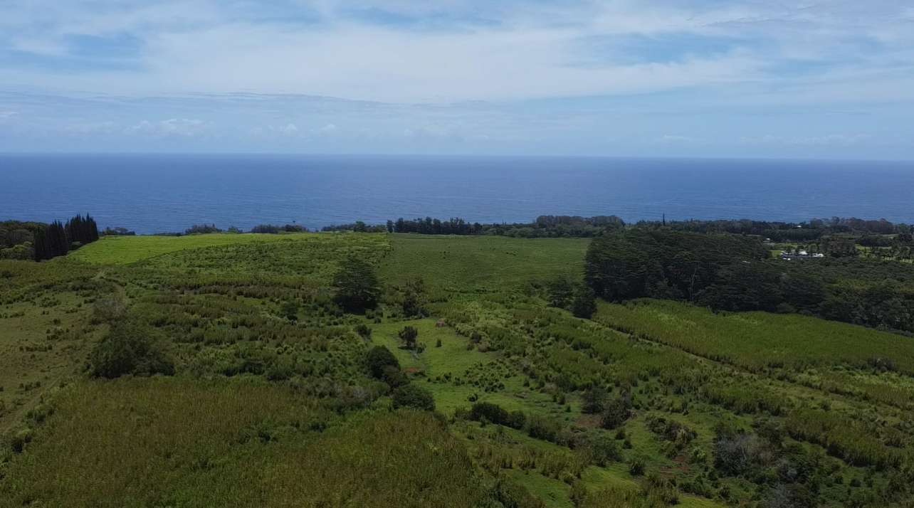 1-3 PRIVATE RD, Hakalau, HI 96710