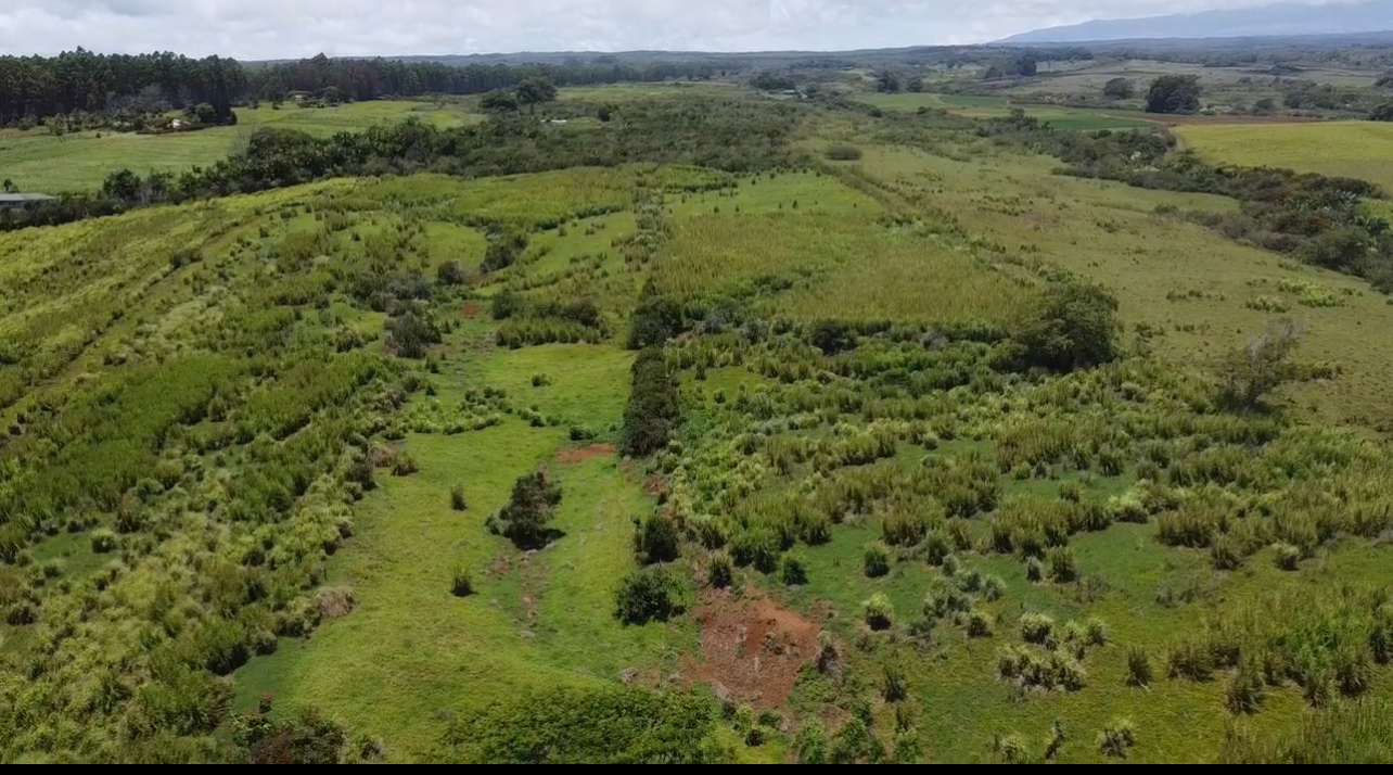 1-3 PRIVATE RD, Hakalau, HI 96710