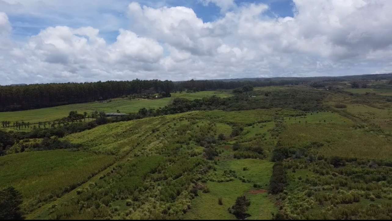 1-3 PRIVATE RD, Hakalau, HI 96710
