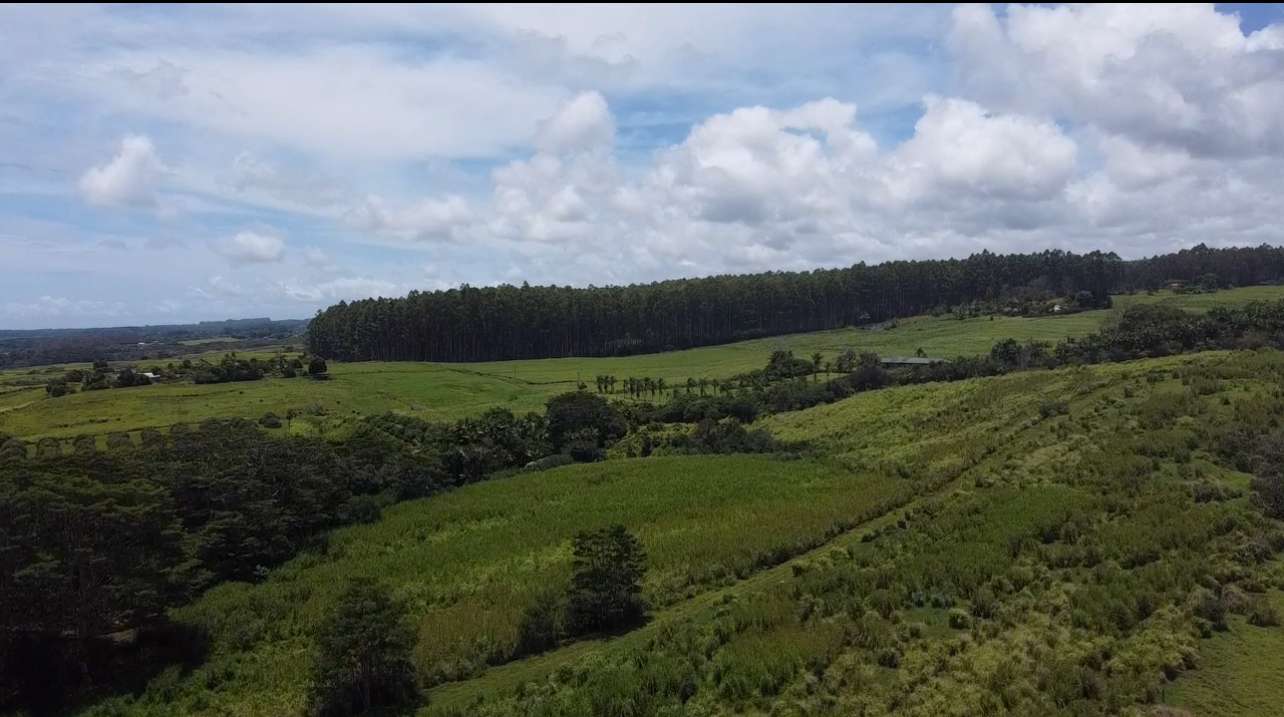 1-3 PRIVATE RD, Hakalau, HI 96710