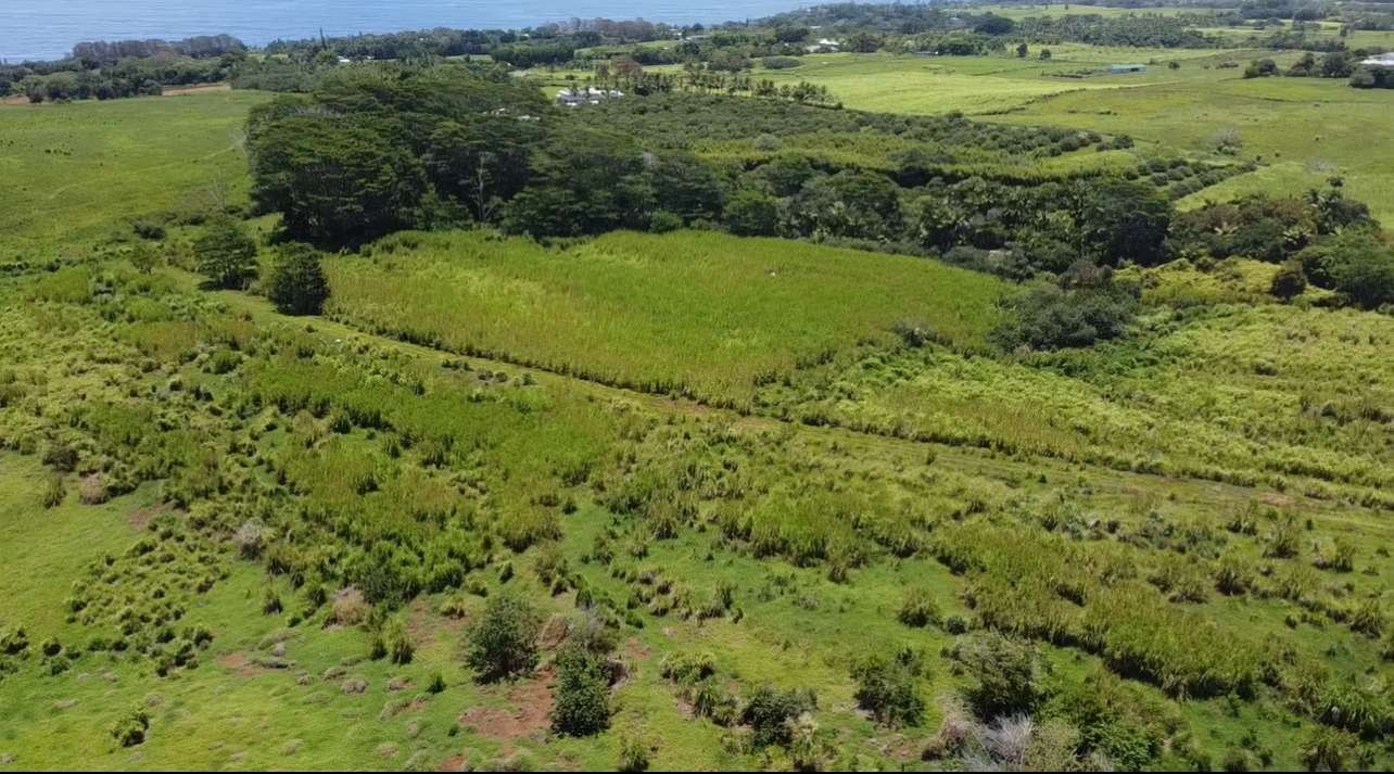 1-3 PRIVATE RD, Hakalau, HI 96710