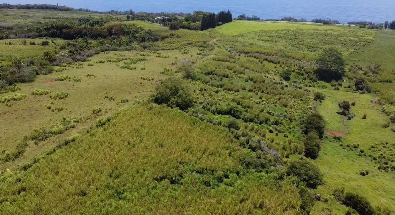1-3 PRIVATE RD, Hakalau, HI 96710