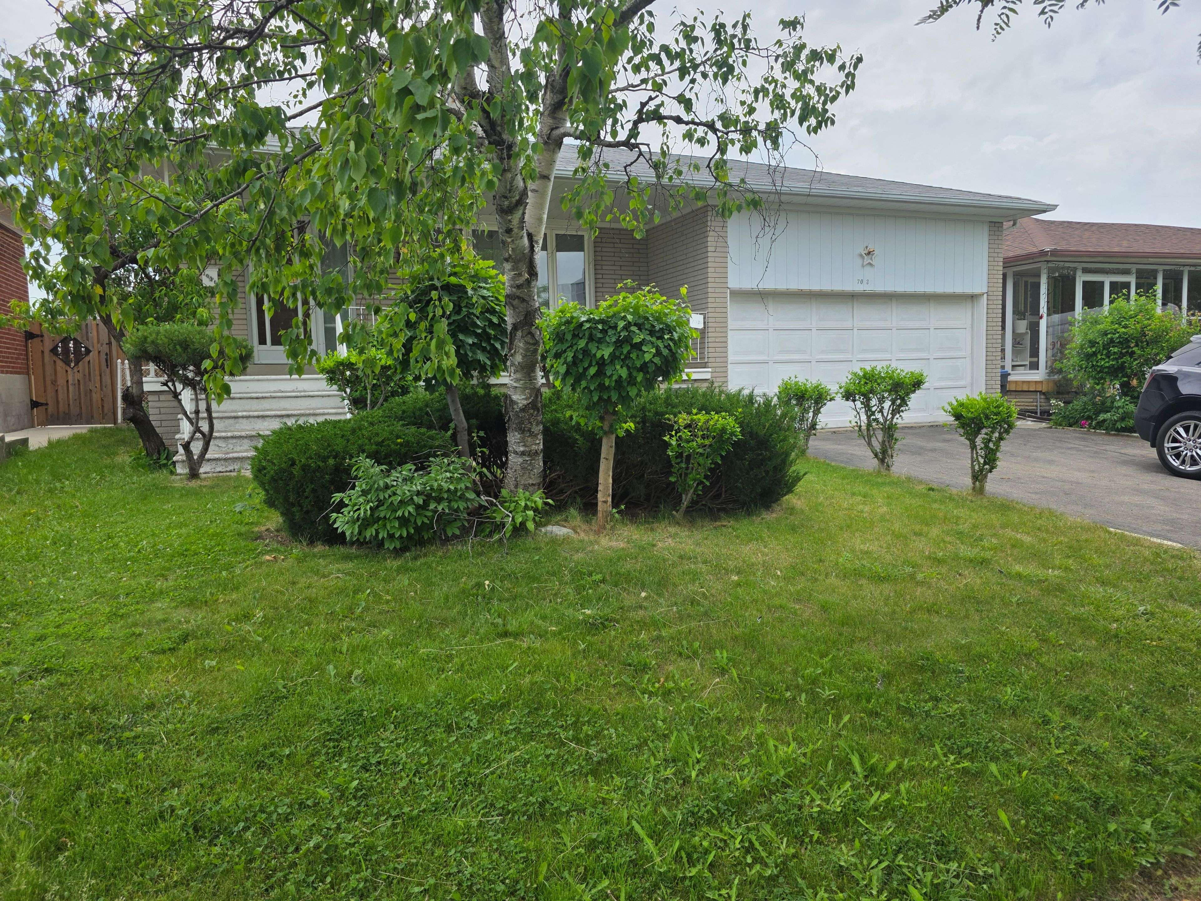 7030 Darcel AVE, Mississauga, ON L4T 2W8