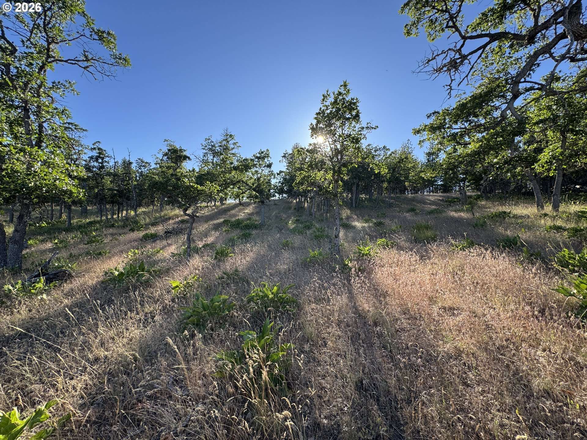 PINEY WOODS, Goldendale, WA 98620