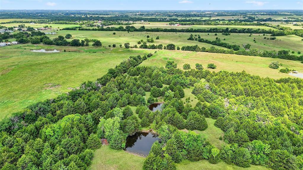 31.83 AC Fm 981, Blue Ridge, TX 75424