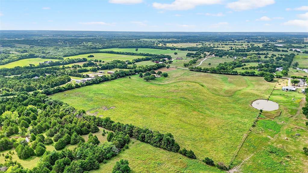 31.83 AC Fm 981, Blue Ridge, TX 75424
