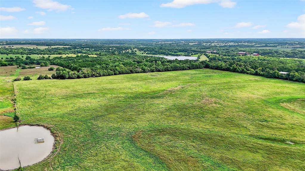 31.83 AC Fm 981, Blue Ridge, TX 75424