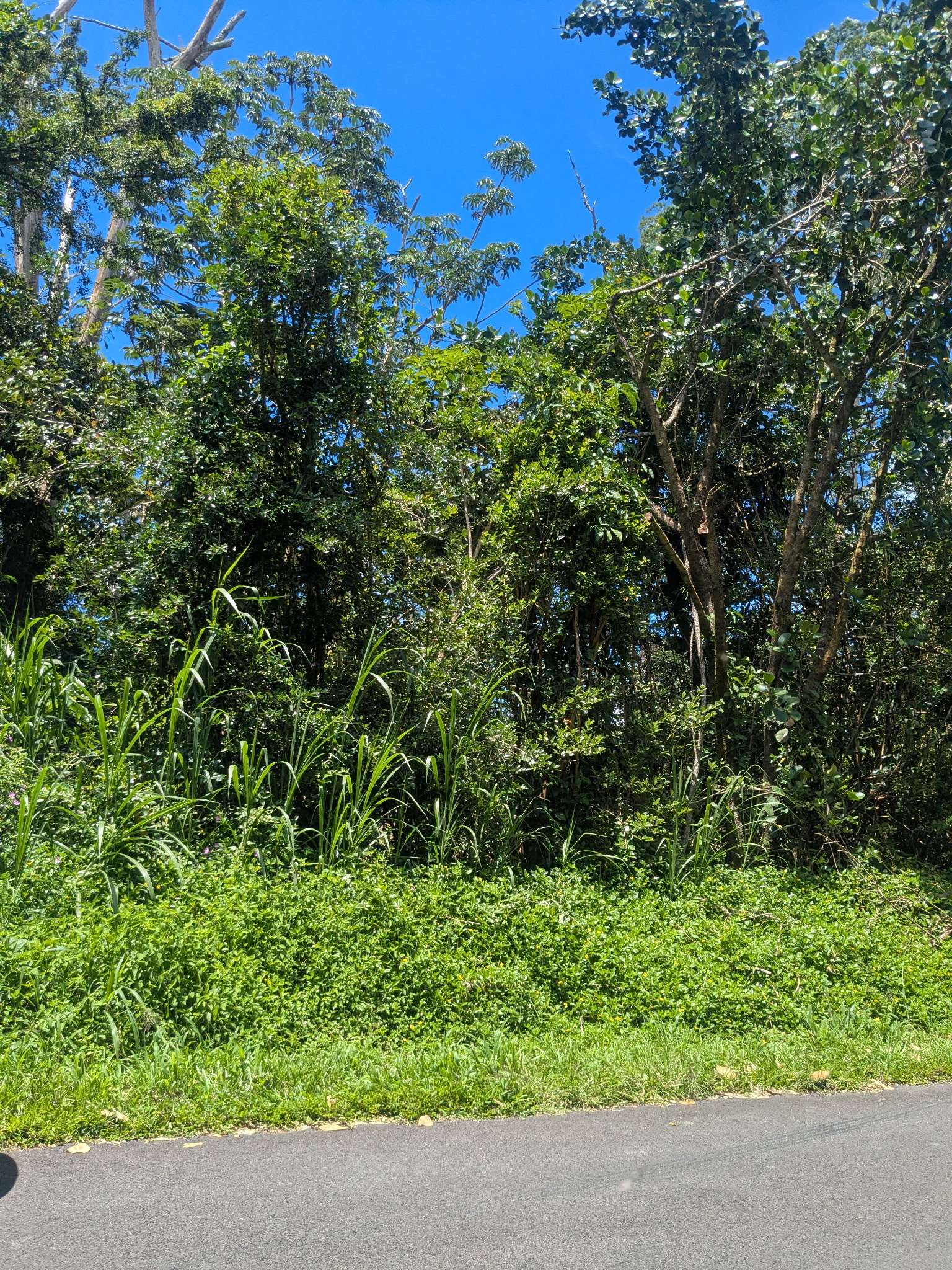 AWEOWEO ST, Pahoa, HI 96778