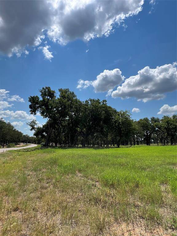 101 Pharris Court, Weatherford, TX 76087