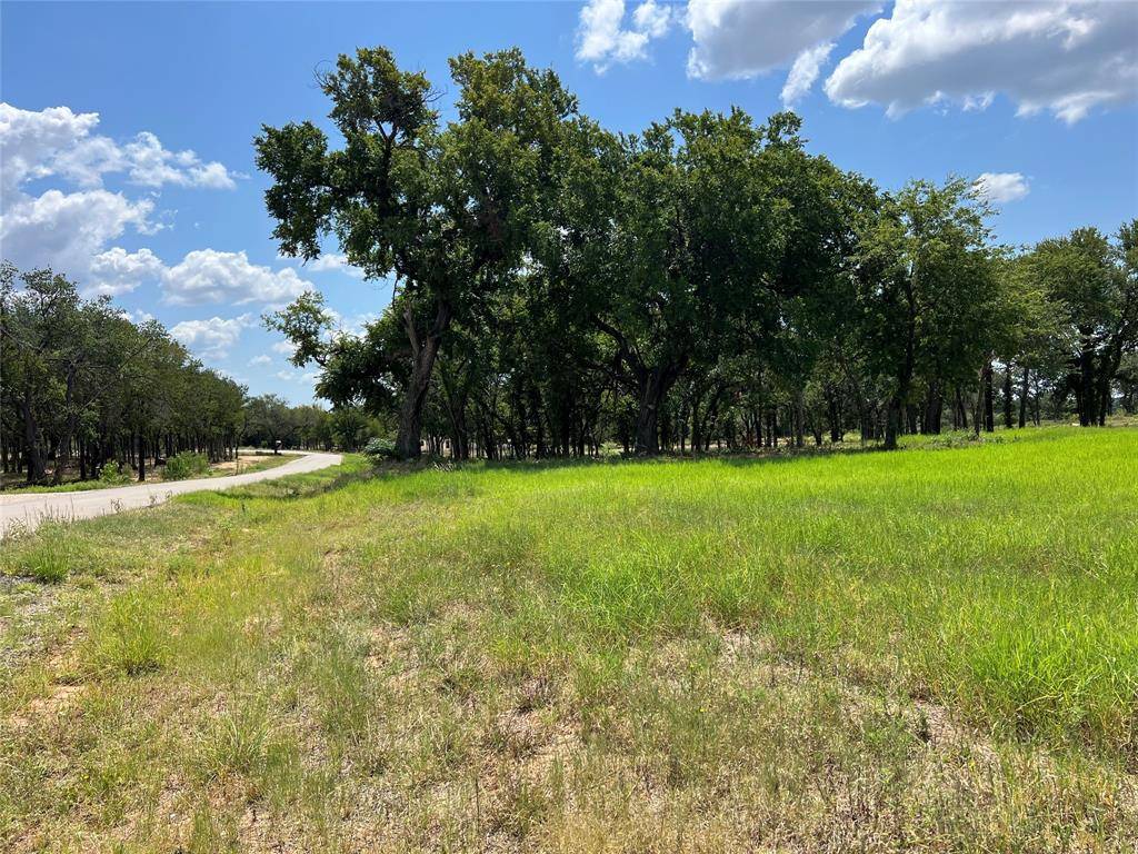 101 Pharris Court, Weatherford, TX 76087