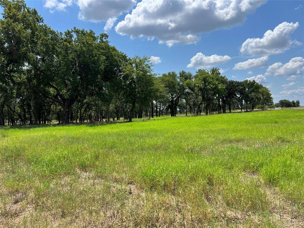 101 Pharris Court, Weatherford, TX 76087