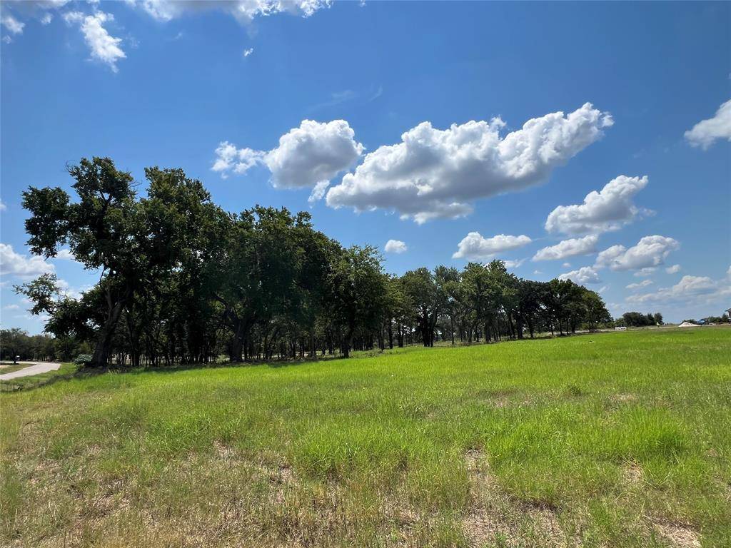 101 Pharris Court, Weatherford, TX 76087