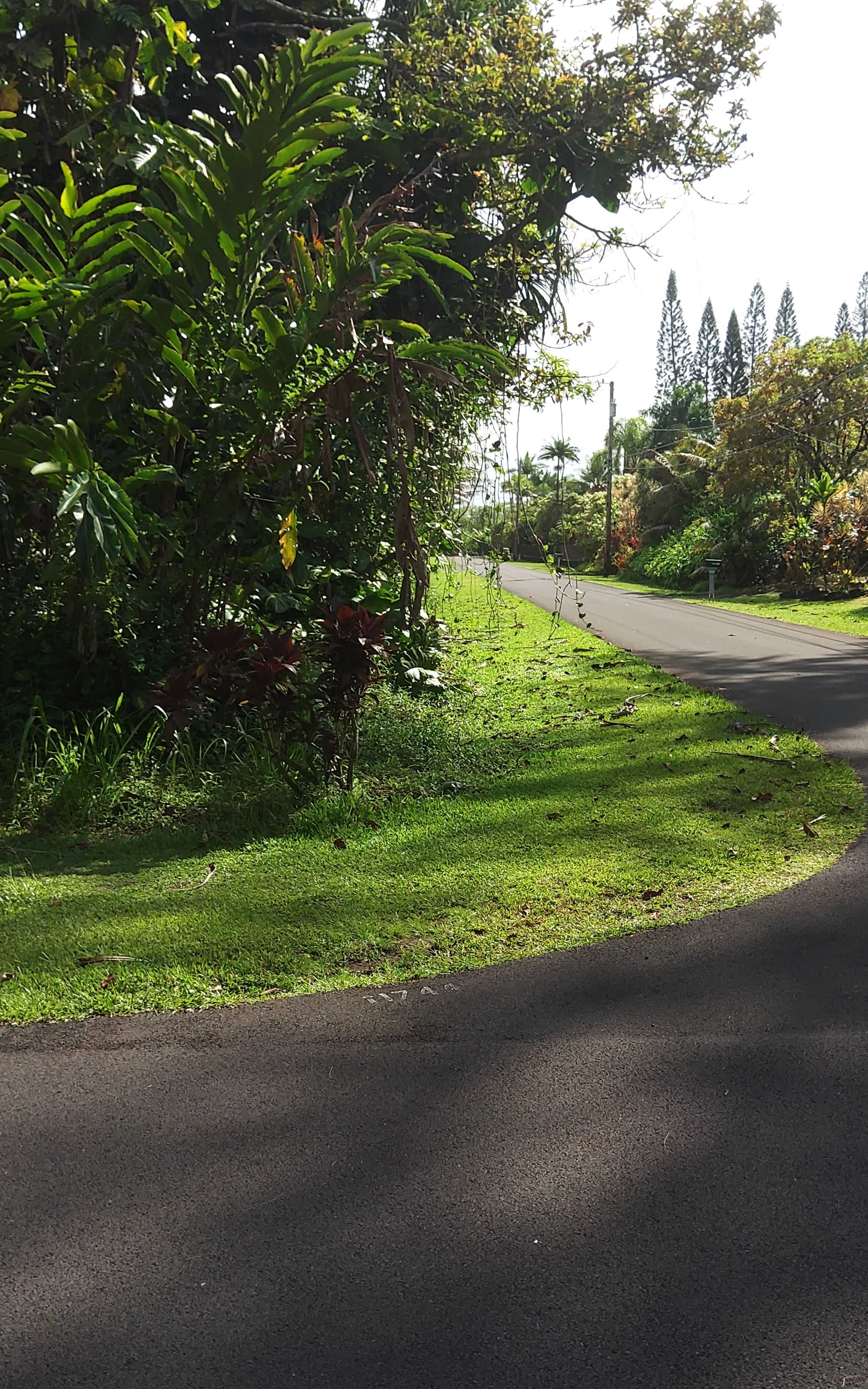 S OPELU ST, Pahoa, HI 96778