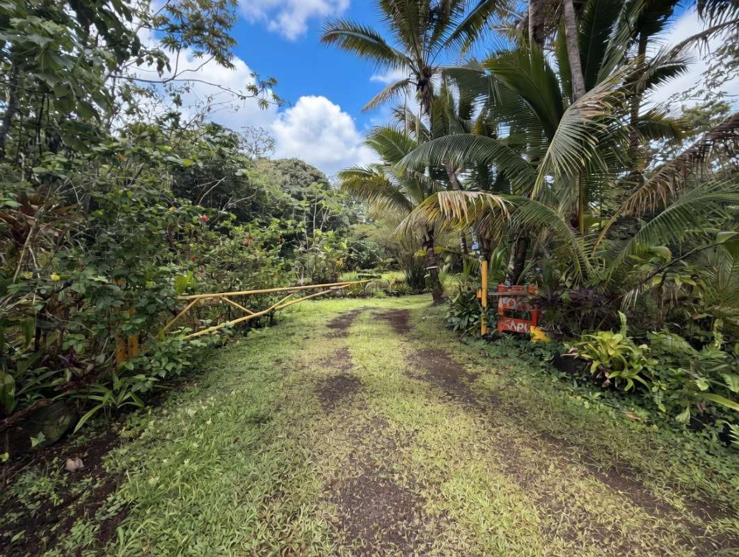 14-3798 GOVERNMENT BEACH RD, Pahoa, HI 96778