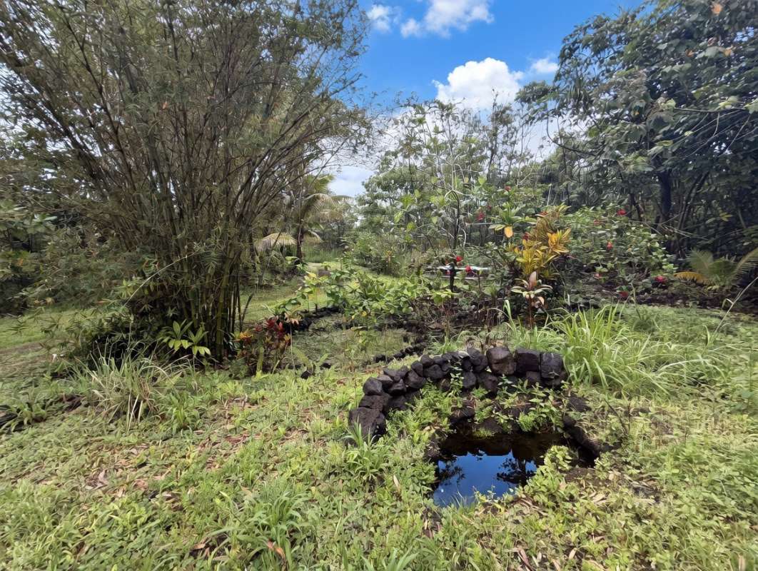 14-3798 GOVERNMENT BEACH RD, Pahoa, HI 96778