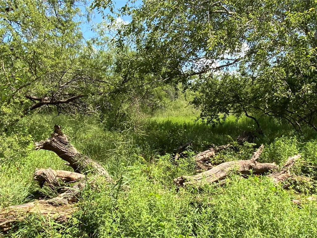 14135 County Road 1144, Sinton, TX 78387