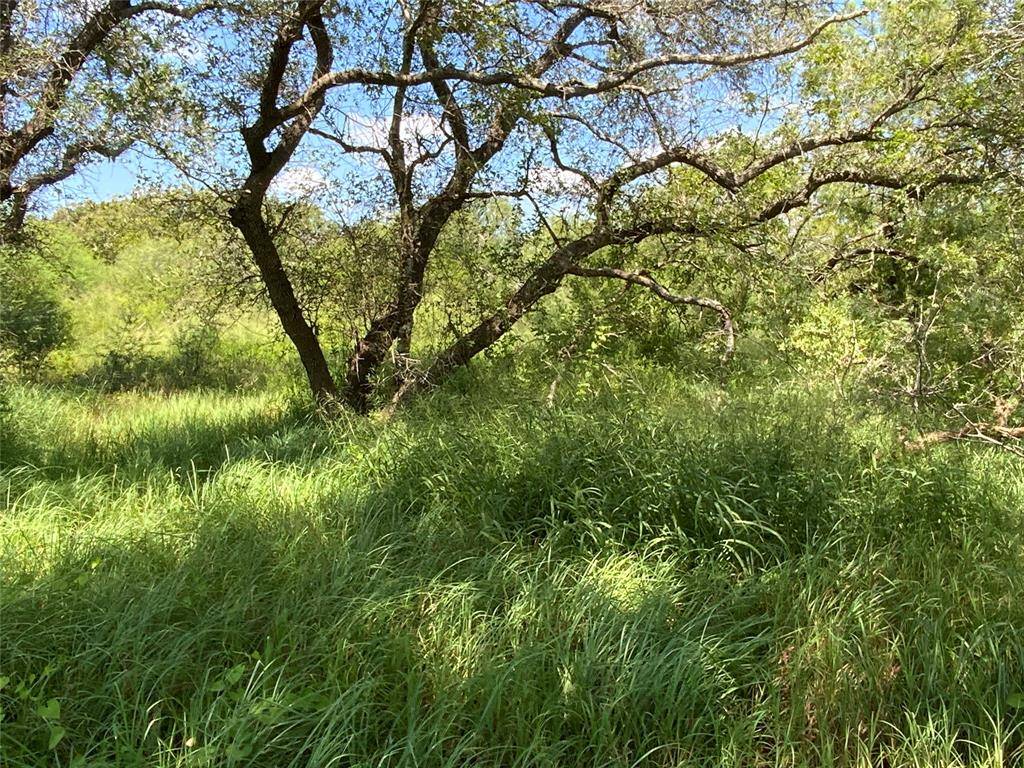 14135 County Road 1144, Sinton, TX 78387