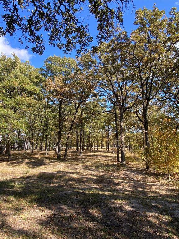 TBD Nautical Drive, Quinlan, TX 75474