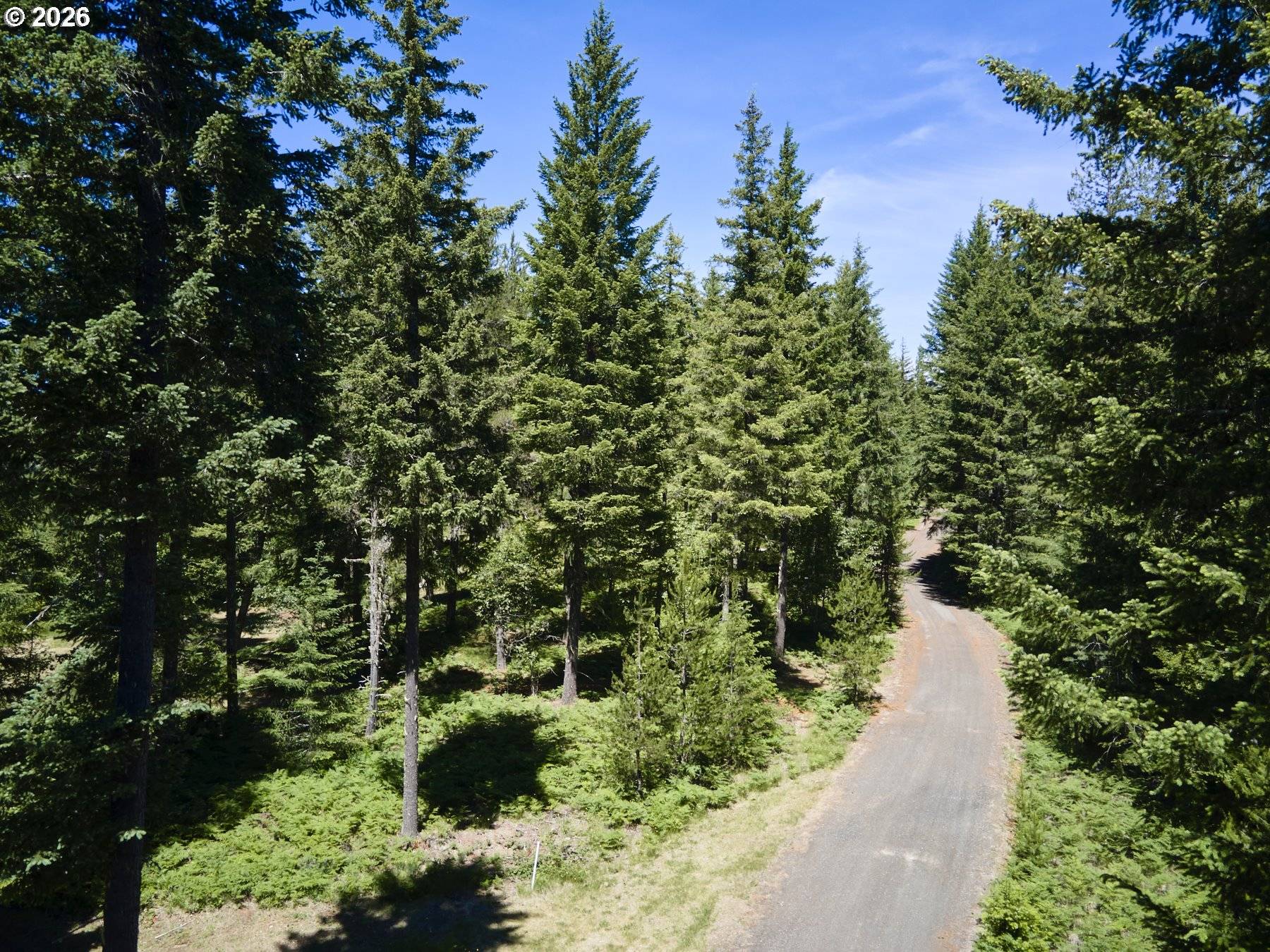 Loowit LN, Cougar, WA 98616