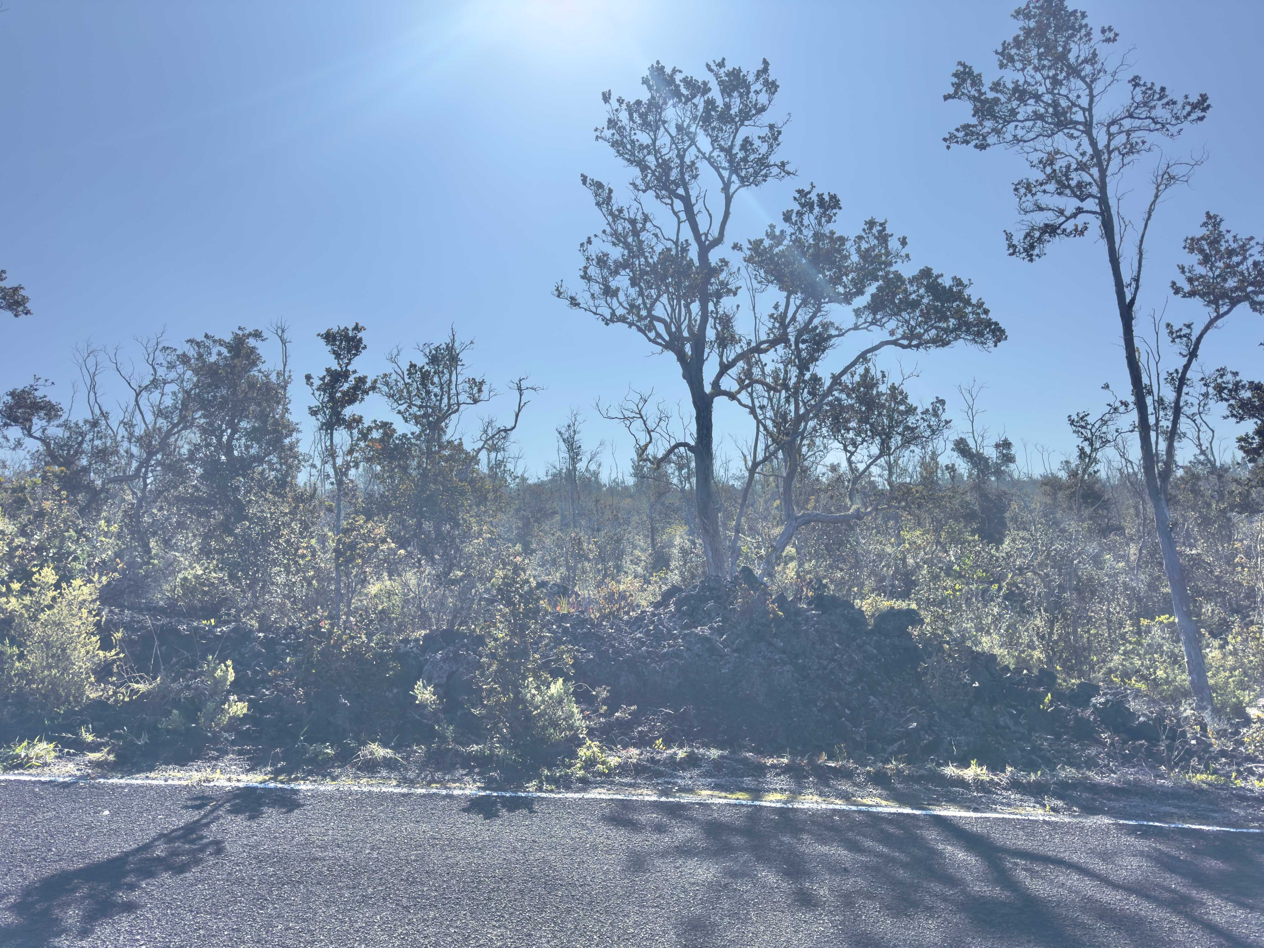 CATAMARAN LN, Ocean View, HI 96737