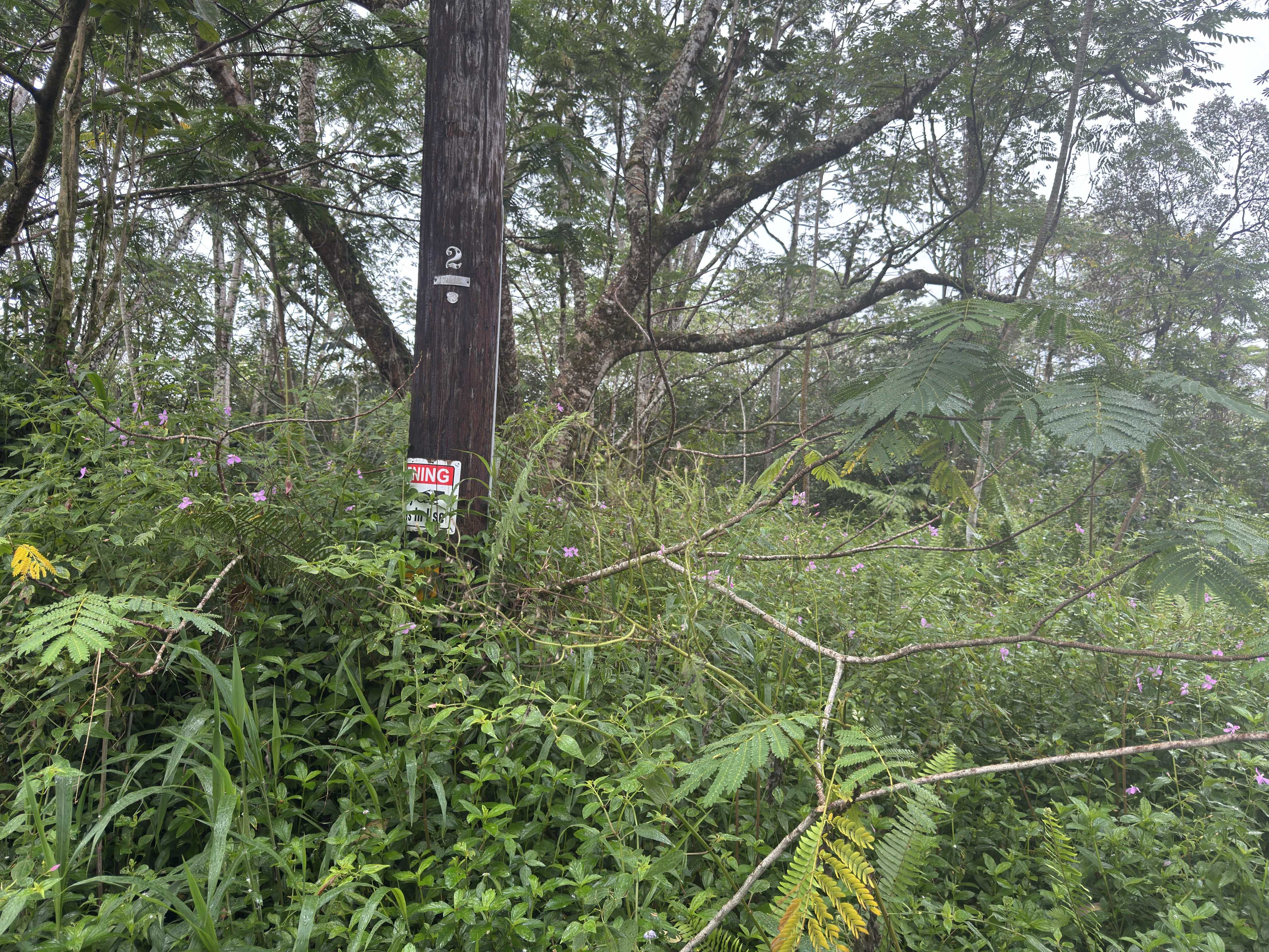 PAHOA CIRCLE, Pahoa, HI 96778