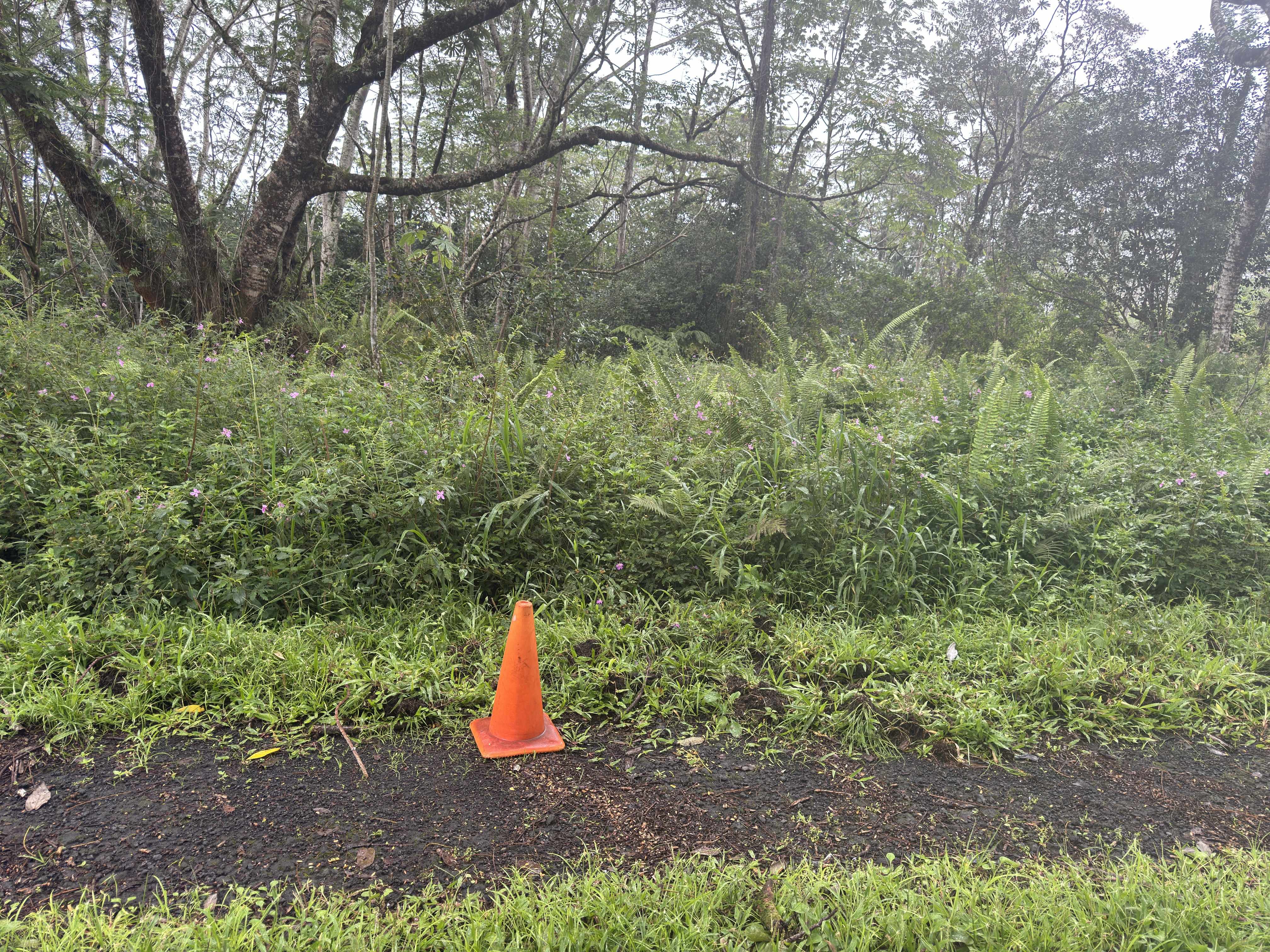 PAHOA CIRCLE, Pahoa, HI 96778