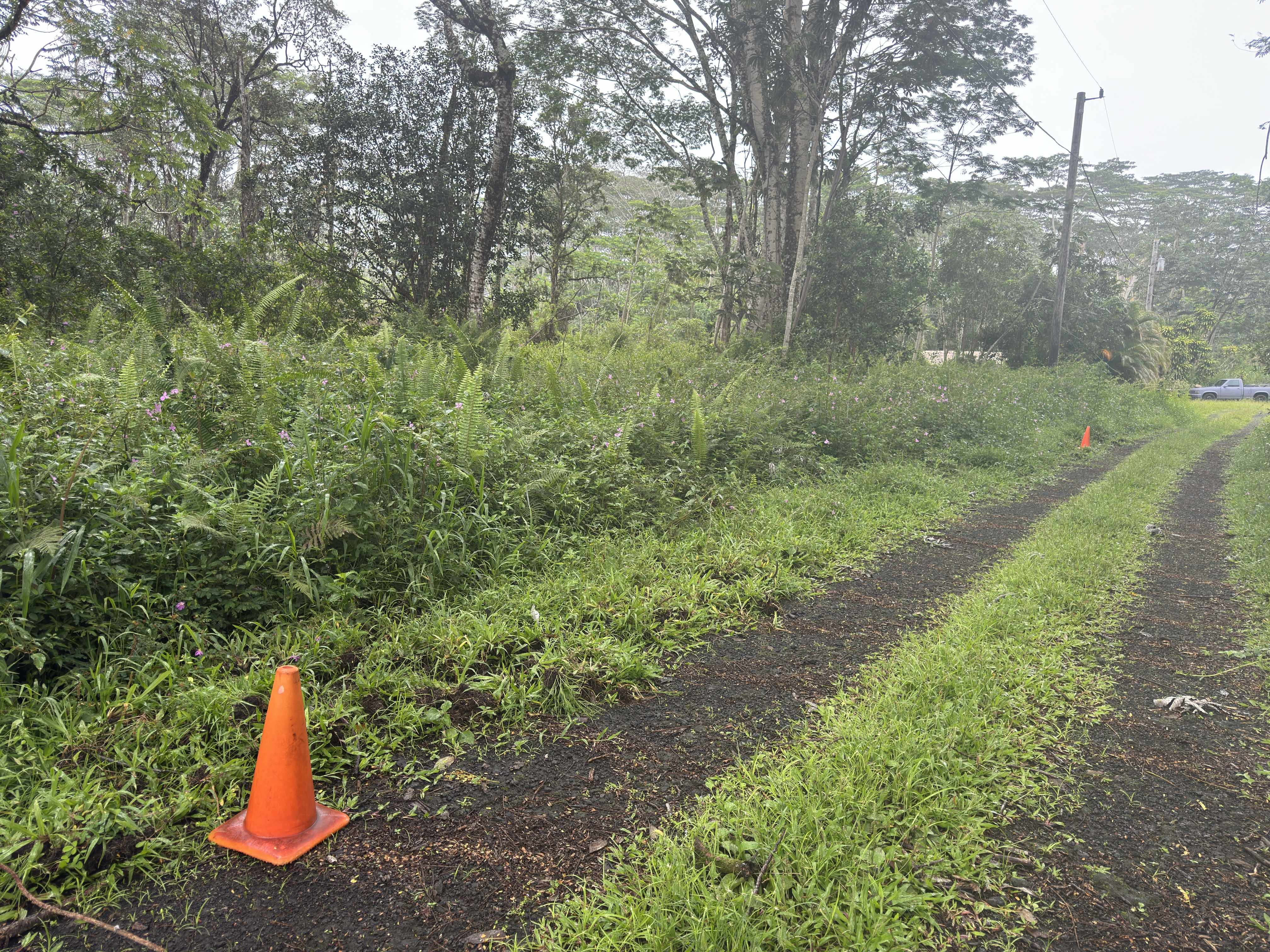 PAHOA CIRCLE, Pahoa, HI 96778