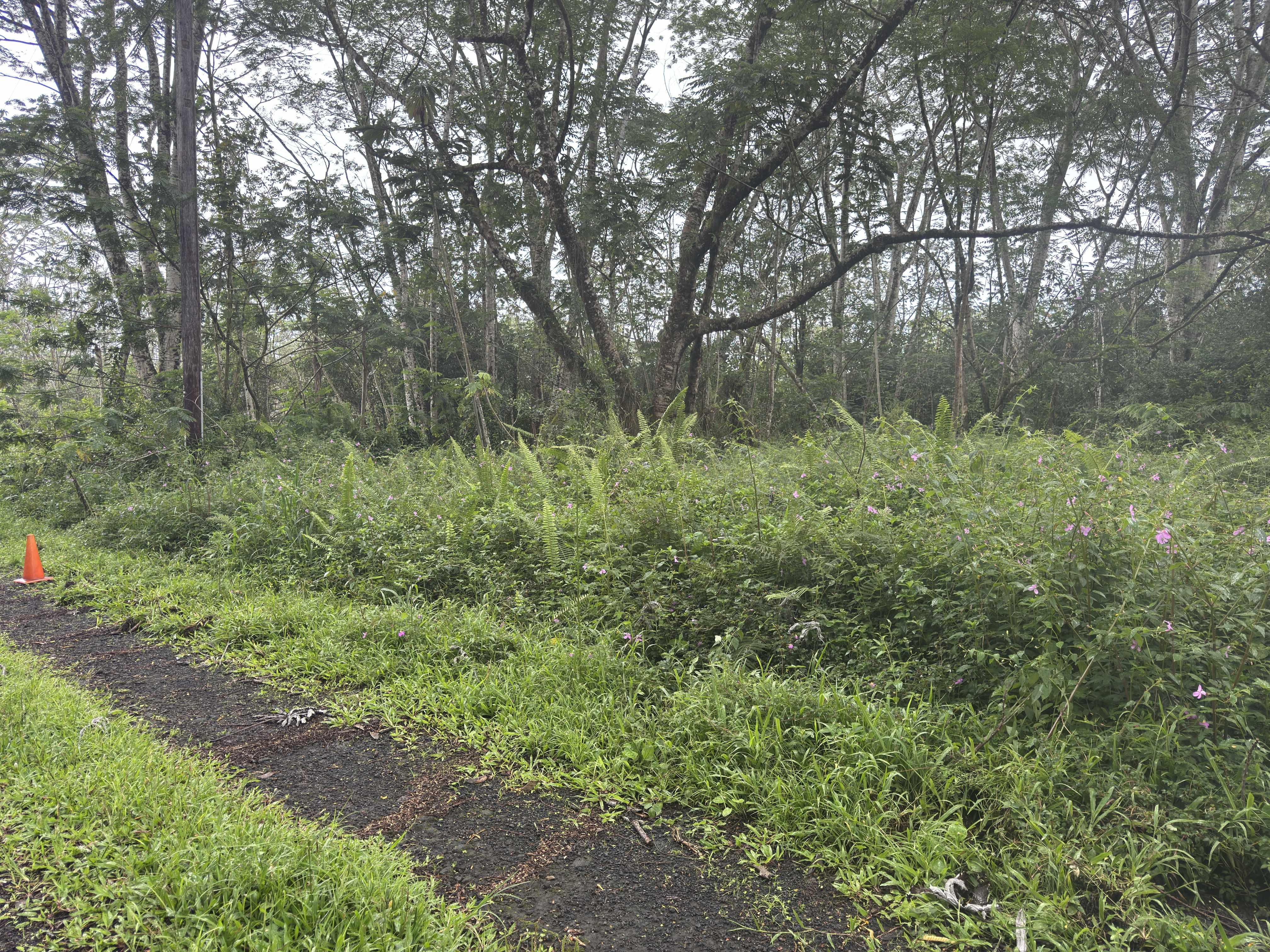 PAHOA CIRCLE, Pahoa, HI 96778