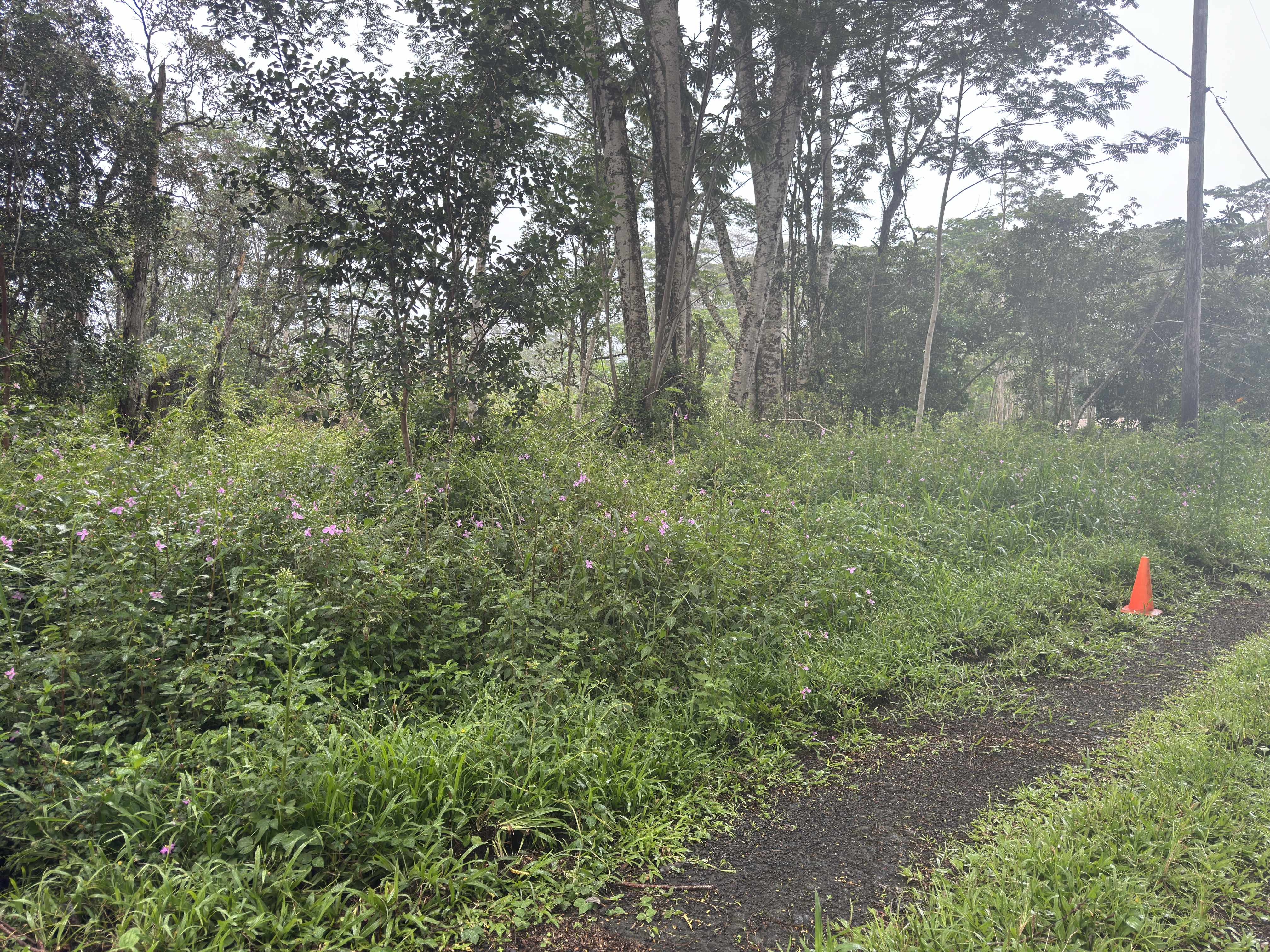 PAHOA CIRCLE, Pahoa, HI 96778