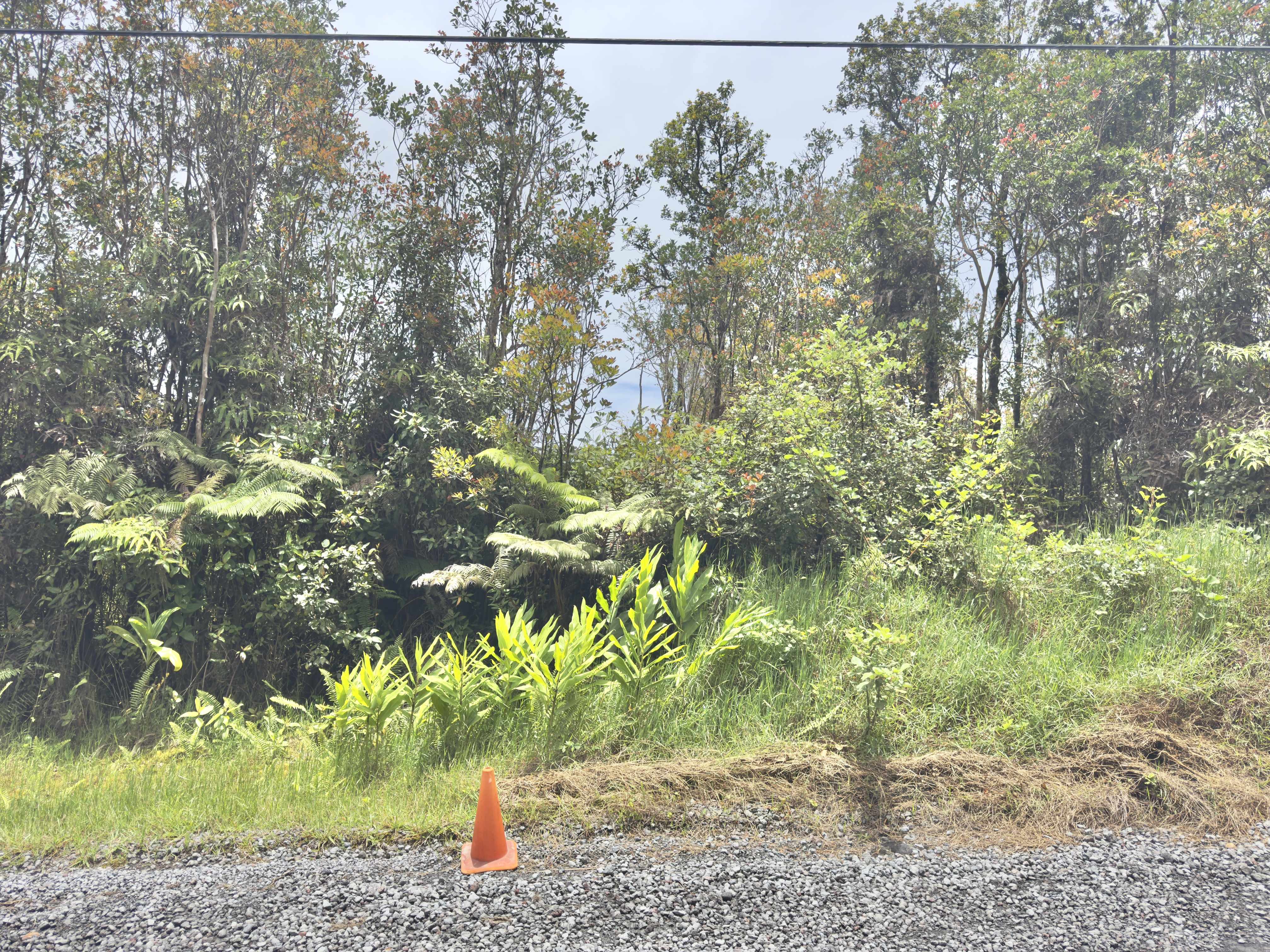 JUNGLE KING AVE, Volcano, HI 96785