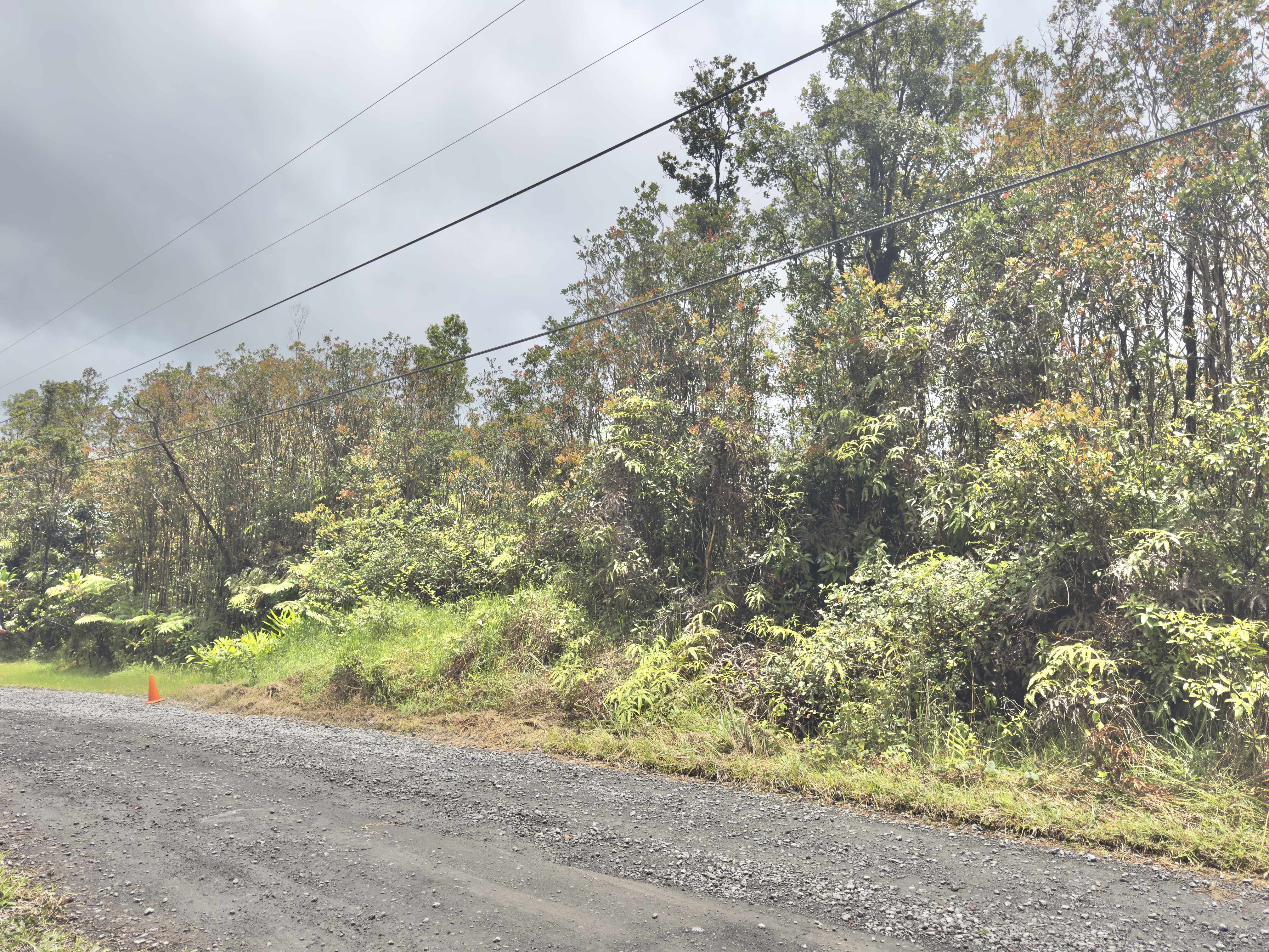 JUNGLE KING AVE, Volcano, HI 96785