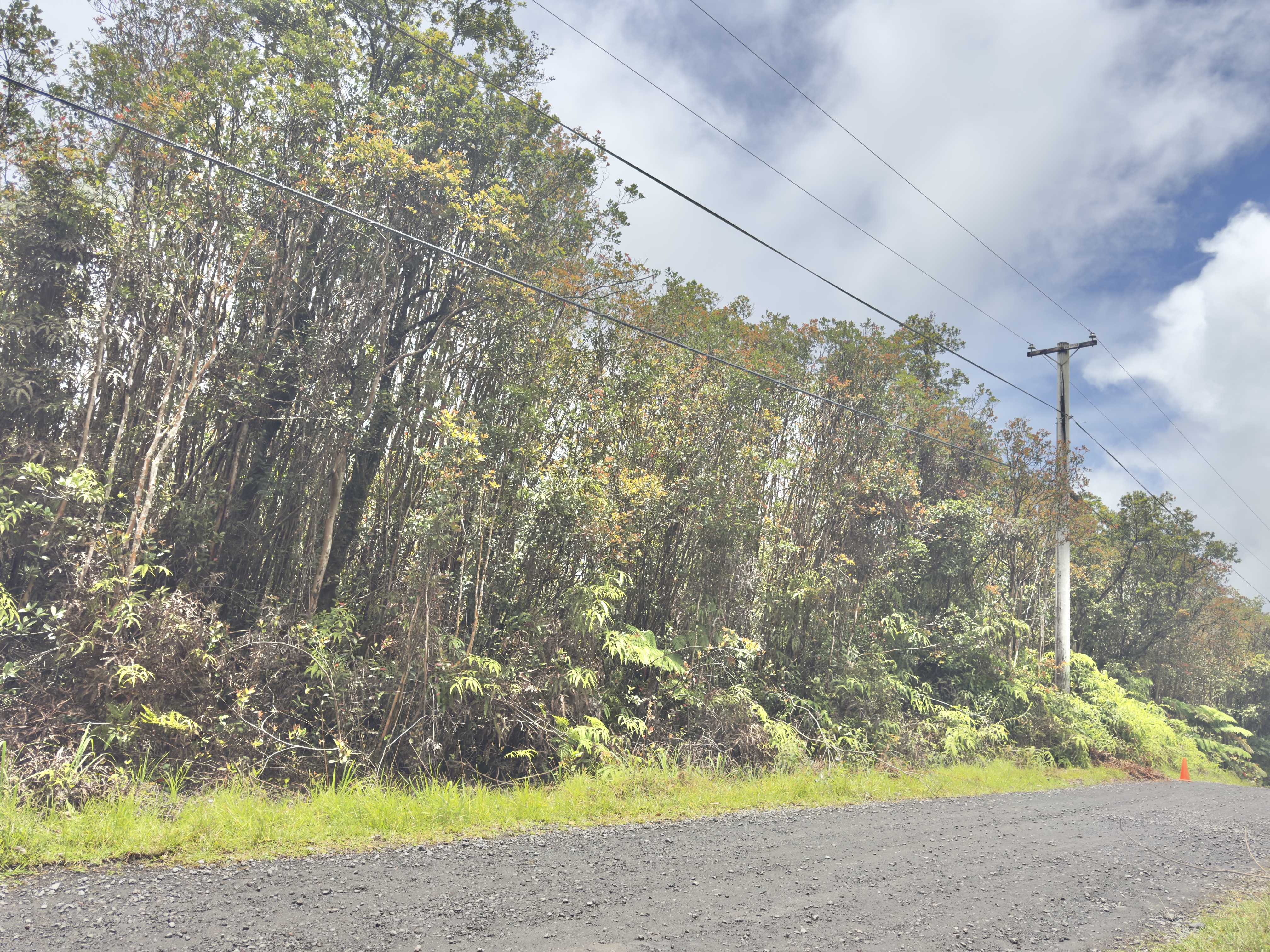 JUNGLE KING AVE, Volcano, HI 96785