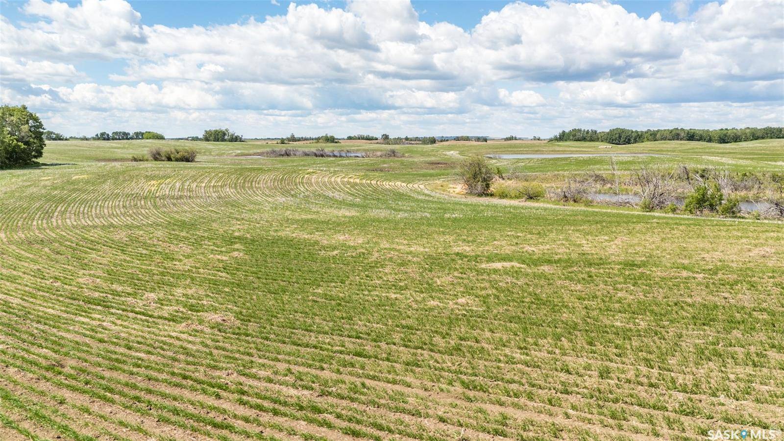 Rural Address, Prince Albert Rm No. 461, SK S6V 5P9