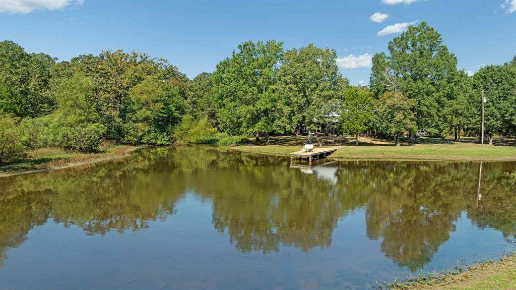 2205 County Road 44600, Blossom, TX 75416