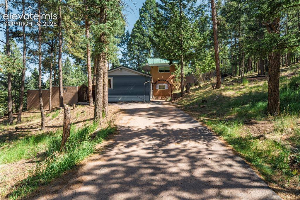 196 Summer Haven DR, Woodland Park, CO 80863