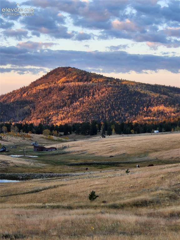 3243 County Road 86, Victor, CO 80860