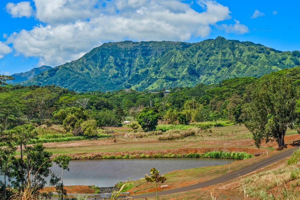 #9E, Kapaa, HI 96746