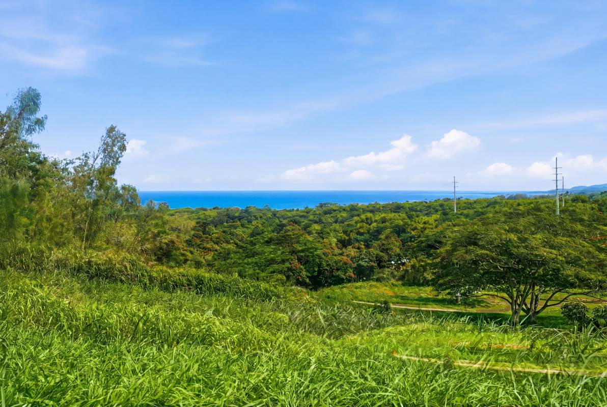 #9E, Kapaa, HI 96746