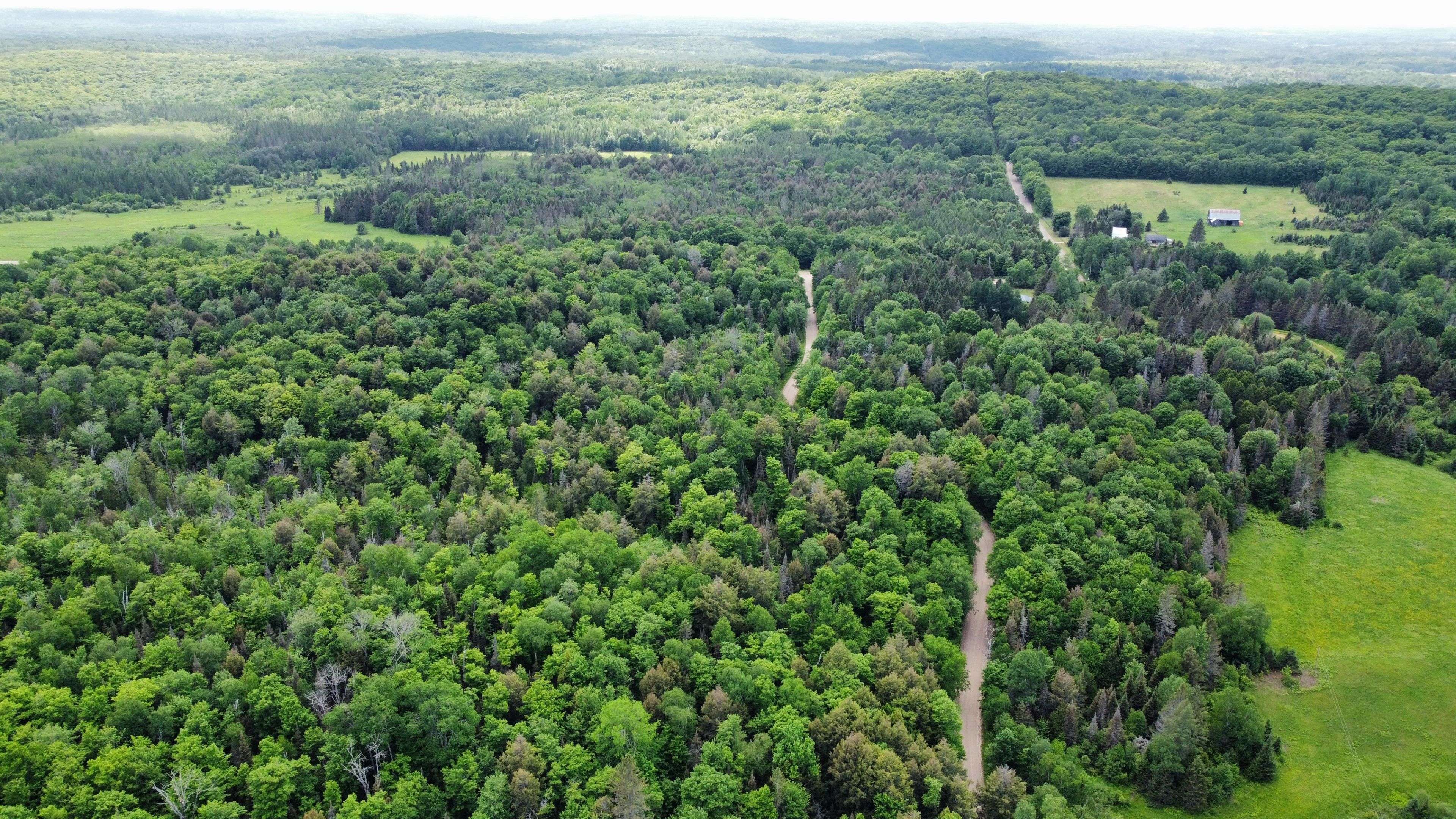 Lot 1 Latimer LN, Calvin, ON P0H 2E0