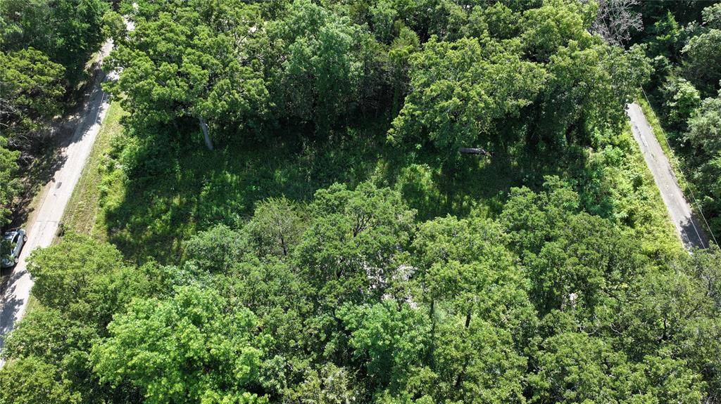 2627 Elmwood Drive, Wills Point, TX 75169