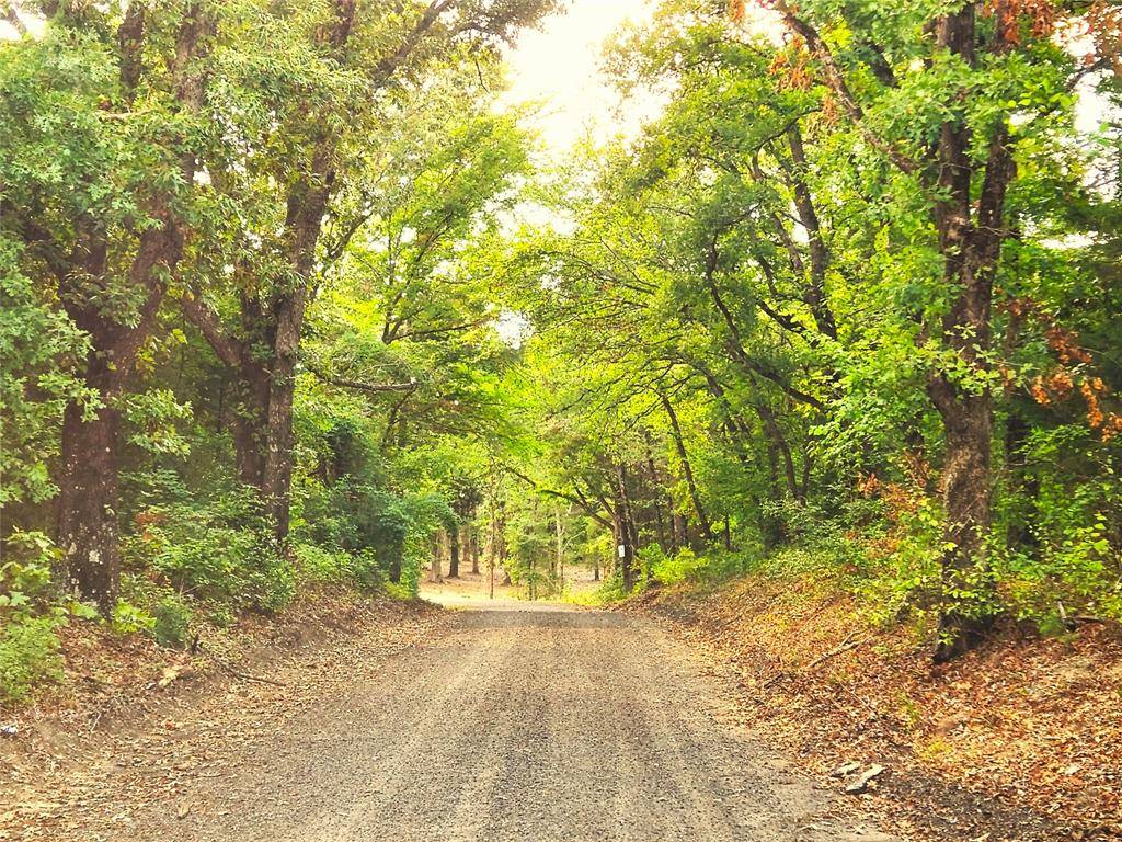 Lot 465 CR-4710, Larue, TX 75770