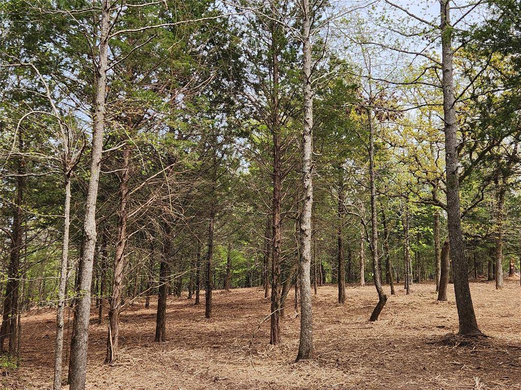 Lot 465 CR-4710, Larue, TX 75770