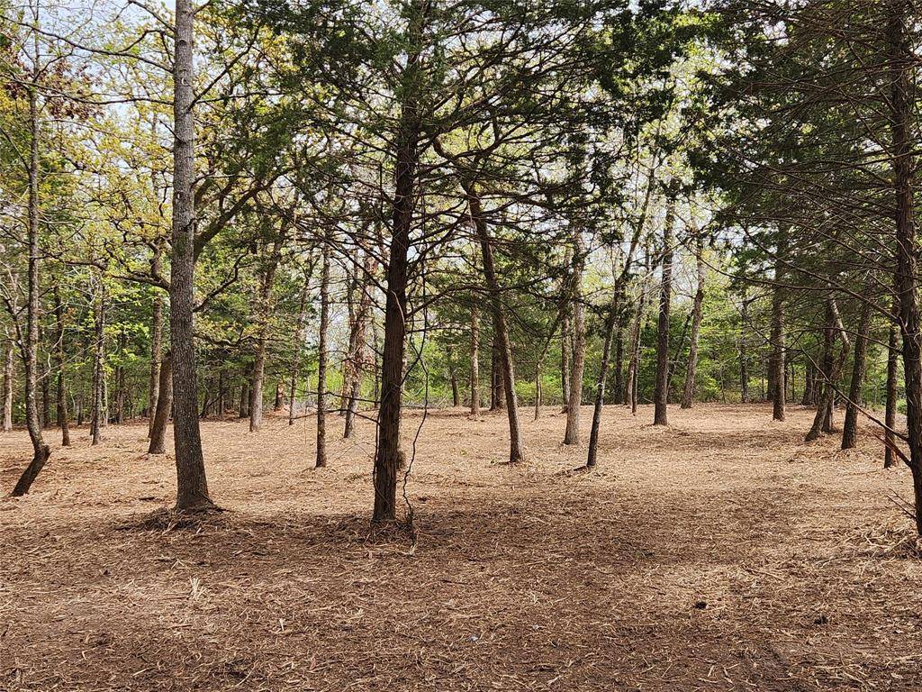 Lot 465 CR-4710, Larue, TX 75770