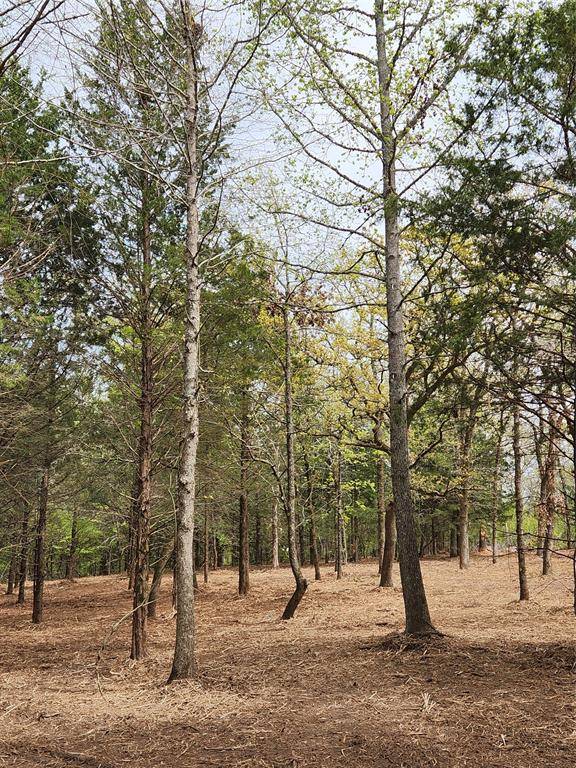Lot 465 CR-4710, Larue, TX 75770