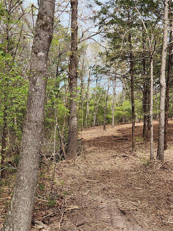 Lot 465 CR-4710, Larue, TX 75770