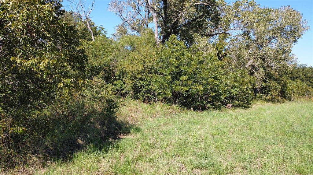 tbd County Road 226, Rising Star, TX 76471