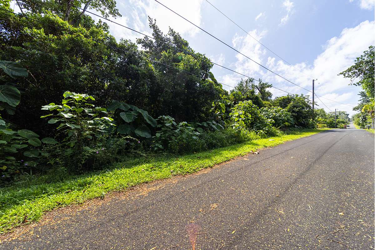 OPAKAPAKA ST, Pahoa, HI 96778